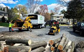 Grapeland, TX Tree Removal Company